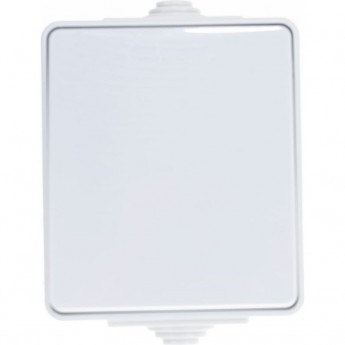 Выключатель ЭРА ЭКСПЕРТ IP65 10АХ-250В ОУ серый